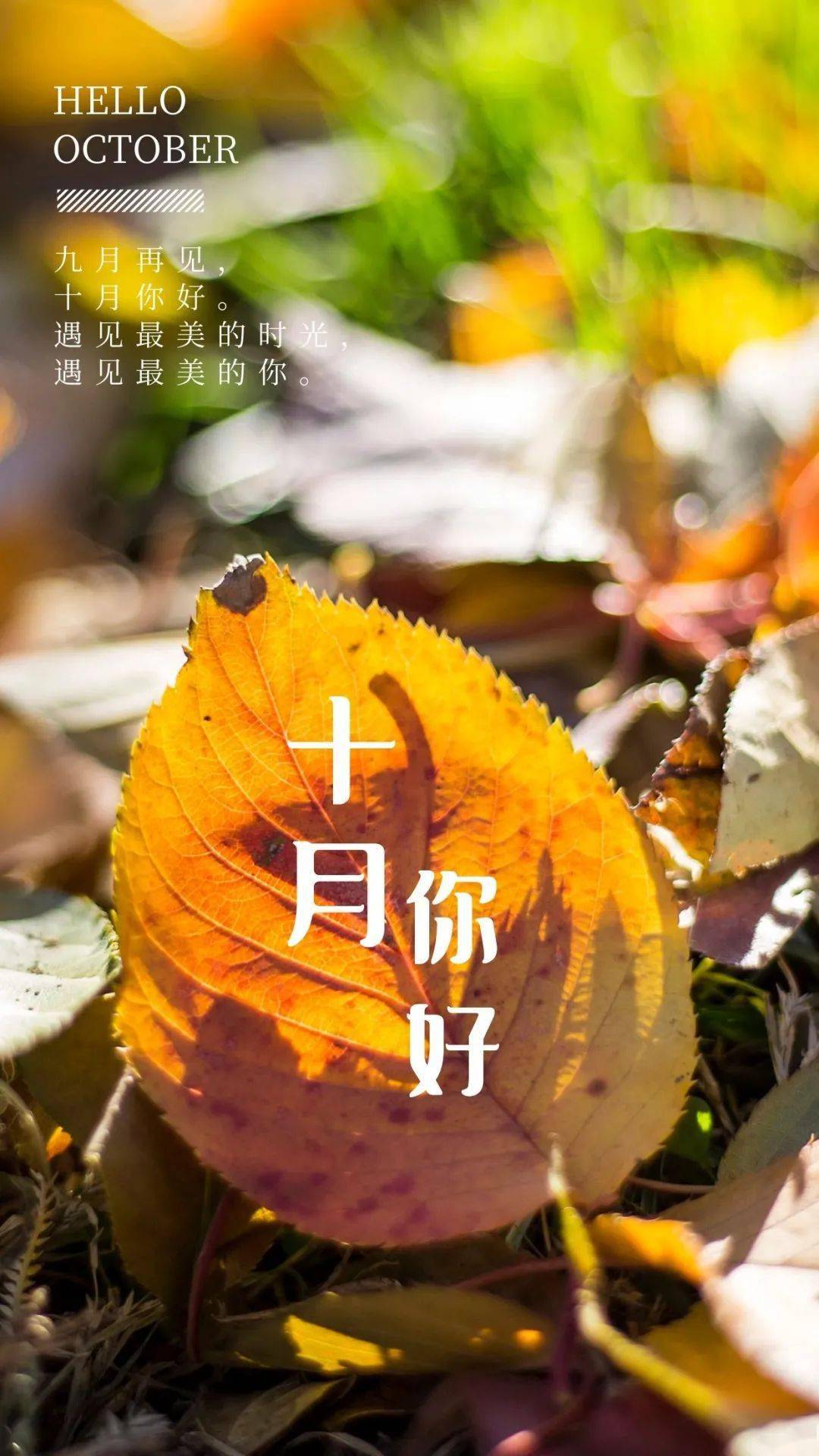 10月1日早安 九月再见,十月你好