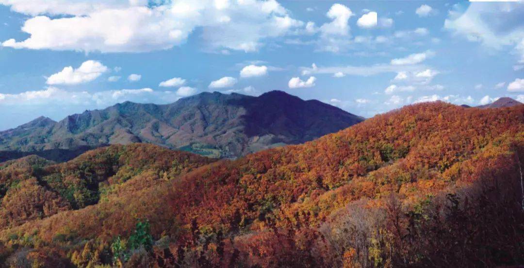 观赏红叶白桦旅游目的地推介 吉林松花湖风景名胜区 地址:丰满区丰满