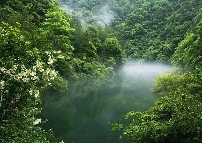 约起来衢州的中国天然氧吧醉氧