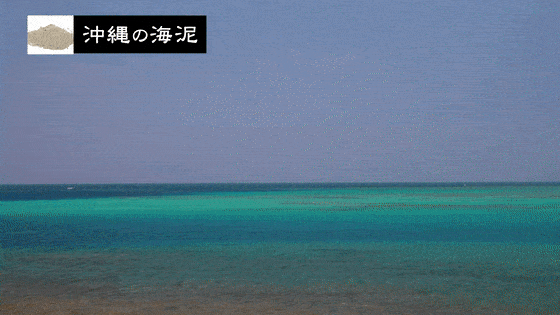 狂卖270万块的日本变态小黑皂,把大油头,秃头,头屑一网打尽!