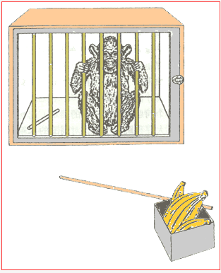 科勒将这种"开窍"称为"顿悟,认为学习是个体利用自身的智慧与理解力