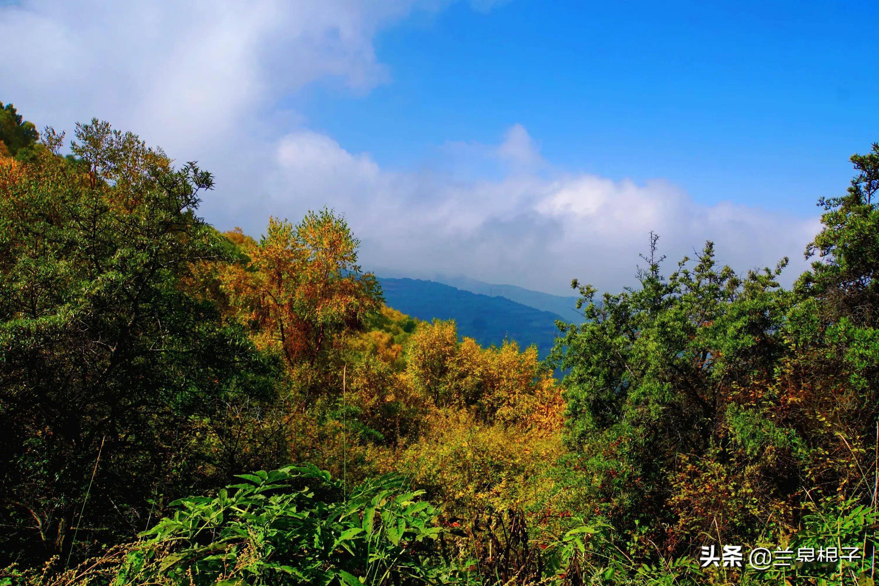 兰州石佛沟景区云顶山秋韵惹人醉