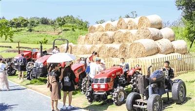 国庆|雪山下的公园城市 黄金周接待游客超1873万人