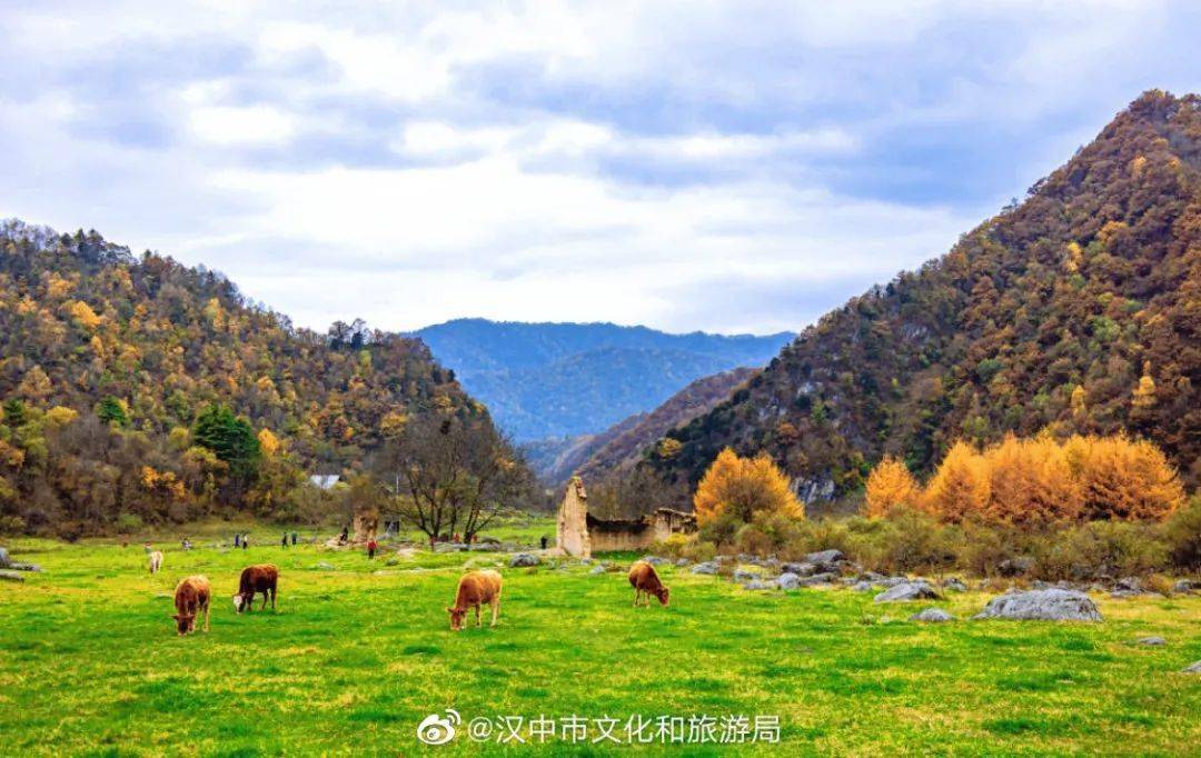 汉中这两条赏秋路线,为您带来"美颜暴击"!_留坝