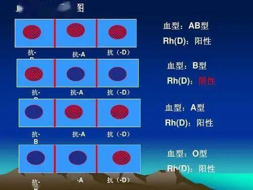 四大血型排行榜: b型血平均年龄77岁,第1名令人意外!