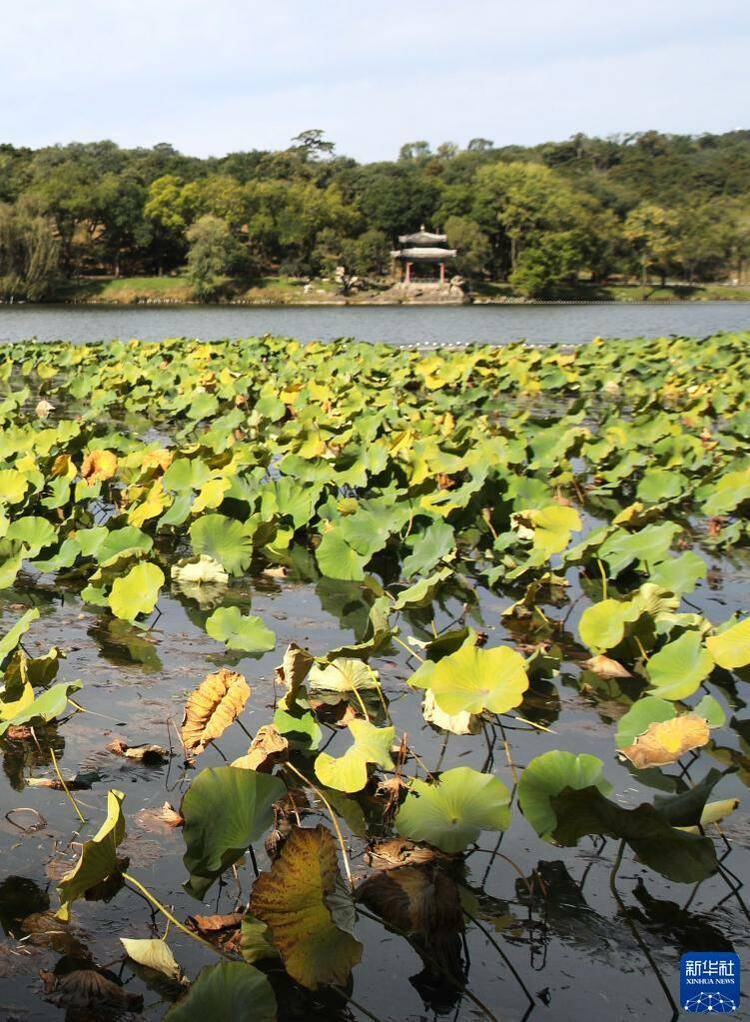 普陀宗乘之庙|承德避暑山庄及周围寺庙秋景如画