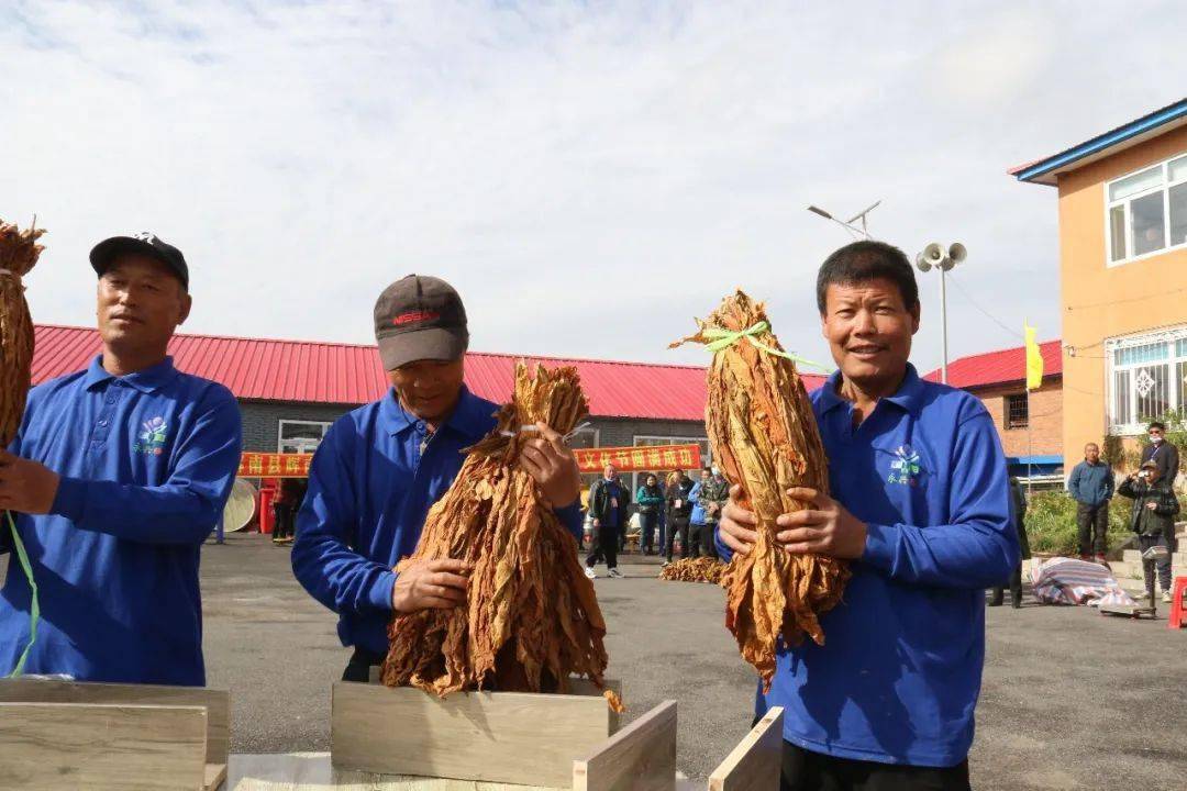 掌声10月10日,辉南镇永兴村举办了关东烟第一村"永兴首届黄烟文化节"