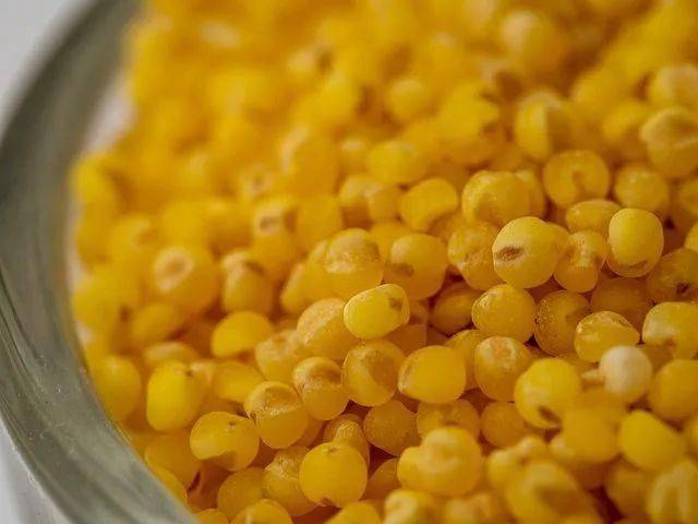 小米是一味中药