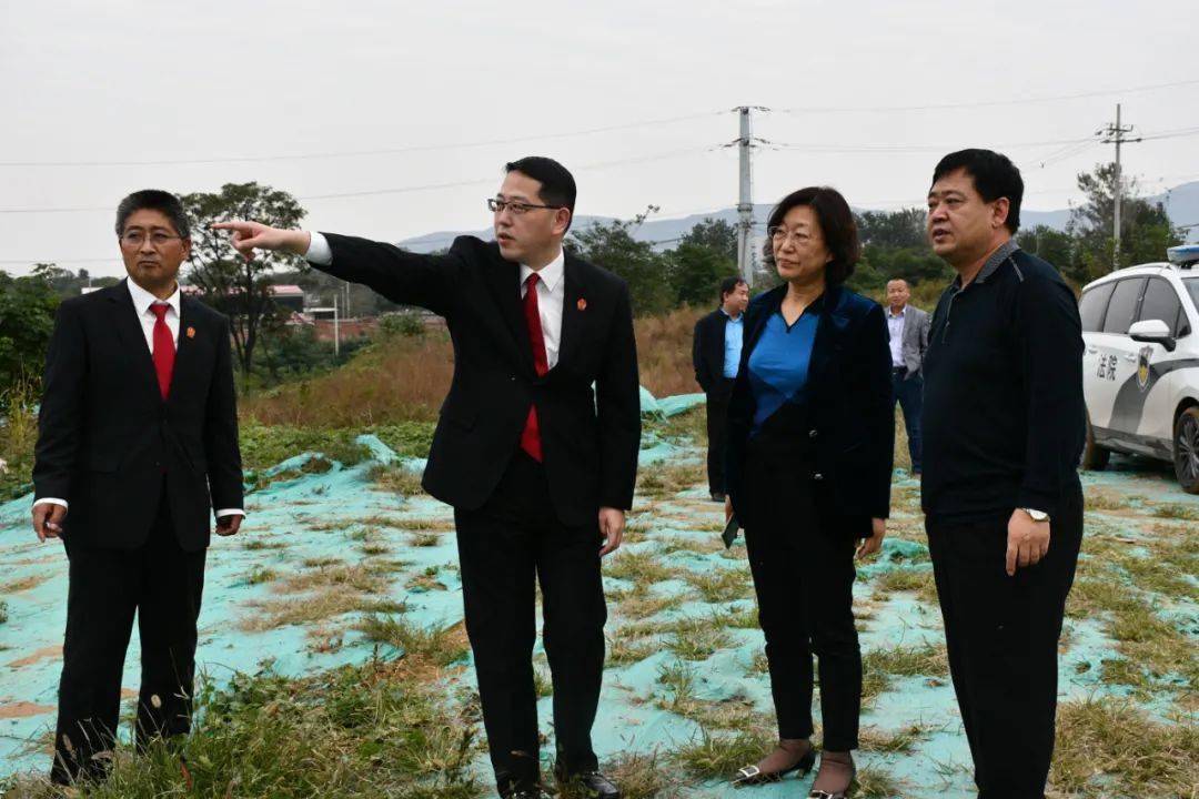 市中院常务副院长贾巧秀到赞皇法院调研指导新审判大楼建设工作