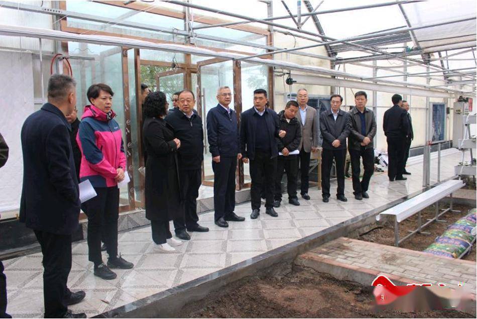 天津市东丽区区长贾堤深入磐安镇调研东西部协作对口帮扶工作