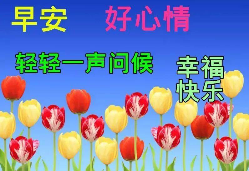 最漂亮早上好动态表情图片大全,秋天早安问候美图大全