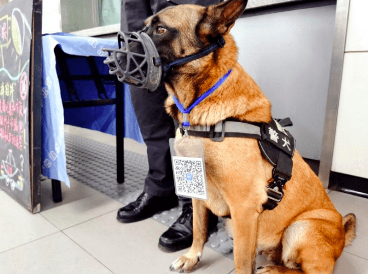 警犬兼职"反诈宣传员",地铁站内推广反诈app