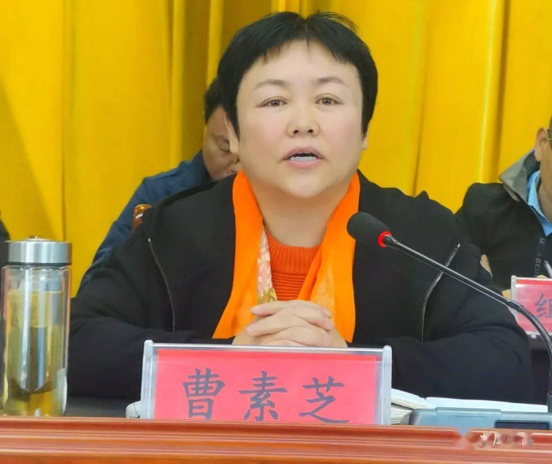 曹素芝主席参加槐桥乡农村集体资产资源清理规范工作转段暨摸底统计