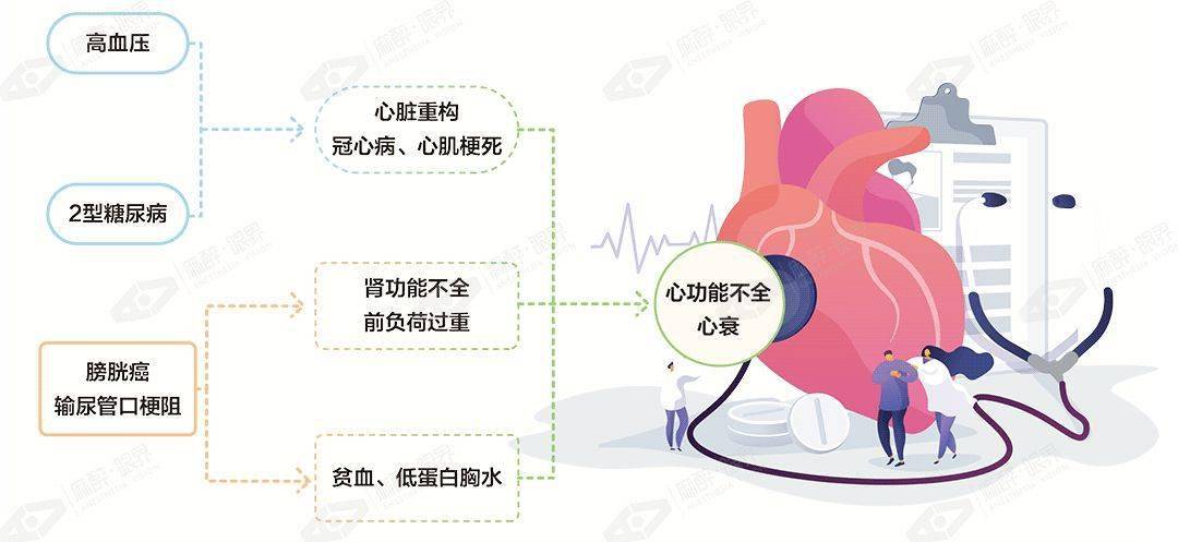 患者心衰发生机制