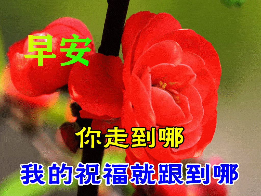 10月17日早上好动态表情图片大全,早晨好动图美图大全