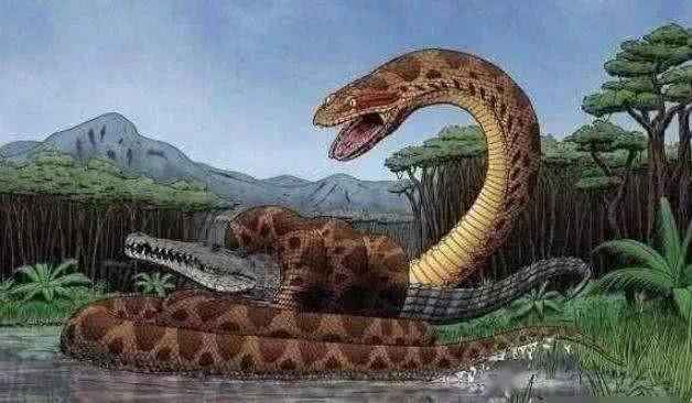 印尼目击8米巨蟒:世界上最大的蛇有多大?会超过10米吗