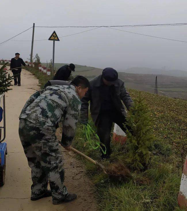 贵清山镇基干民兵参加秋季义务植树活动