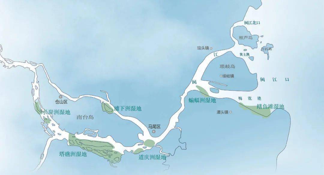 中国国家地理闽江河口湿地的贡献
