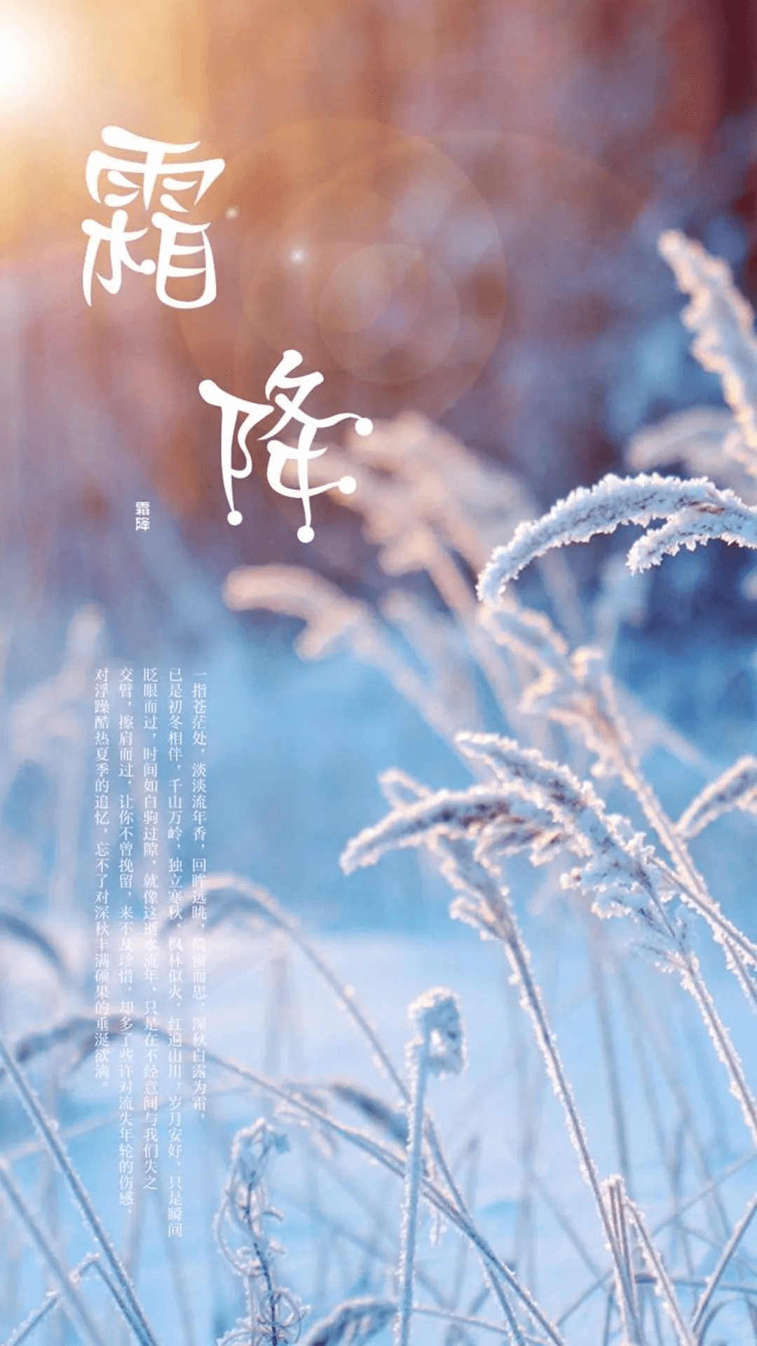 人到深秋多思念,霜降来临要祝愿,一片真情挂心间,早安