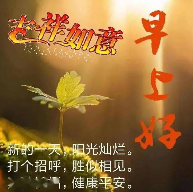 秋天天冷了问候大家早上好祝福语图片 秋天注意保暖语