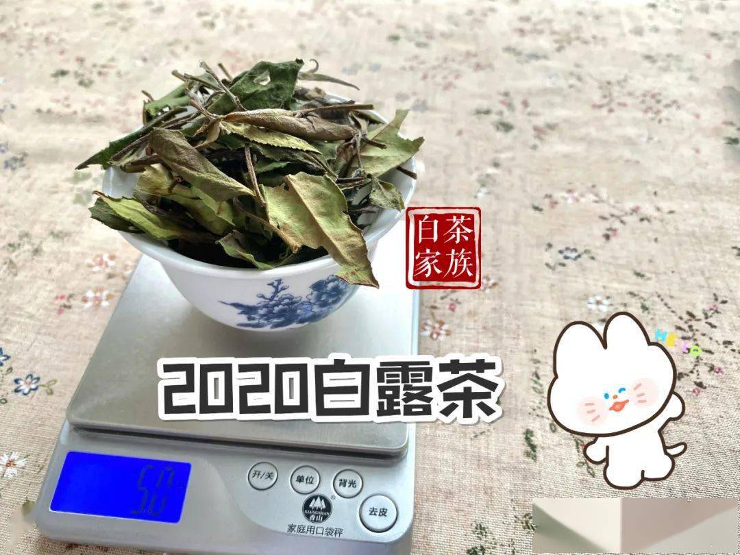 2021年秋白茶,有哪些独特之处?看看太姥山老茶农怎么说