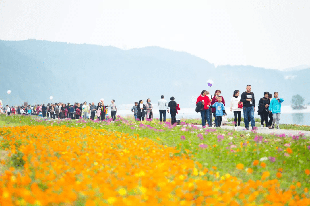 这个花海盛放的宝藏景区私藏了遂宁的秋日美景