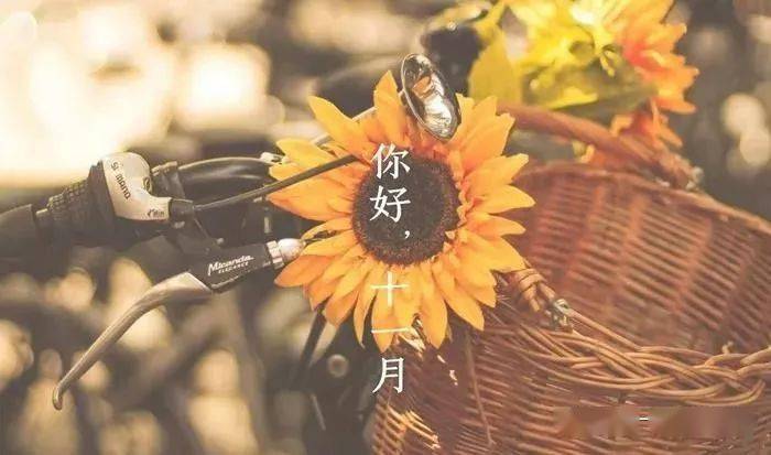 11月你好带字唯美图片十月再见,告别过往所有的遗憾.