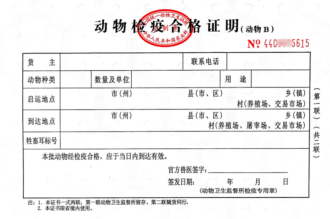 过年宠物怎么带回家深圳这36个动物检疫申报点请收好