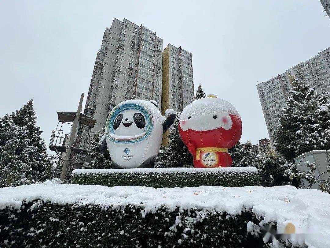 冬奥倒计时88天下雪天和冬奥会更配哟团团带你了解自由式滑雪大跳台