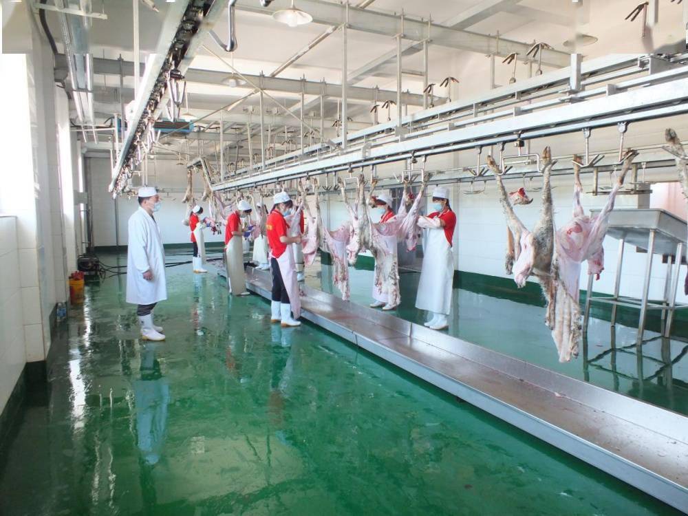河北唐县:葛堡村肉羊产业入选 河北省"一村一品"十大典型案例