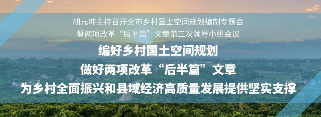 胡元坤编好乡村国土空间规划做好两项改革后半篇文章为乡村全面振兴和