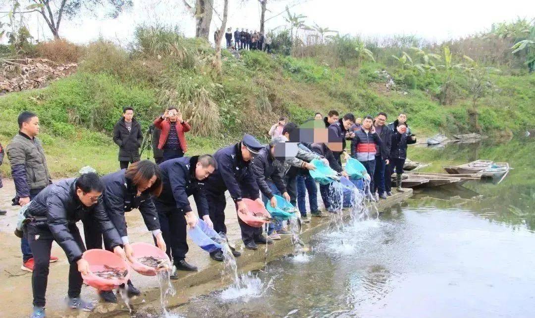 为何有那么多人痛恨钓鱼人光这两种行为活该被人恨