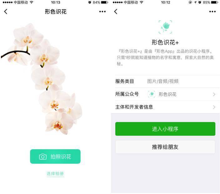 扫码使用形色识花小程序↑↑↑↑↑第一步:在微信里找到形色识花小