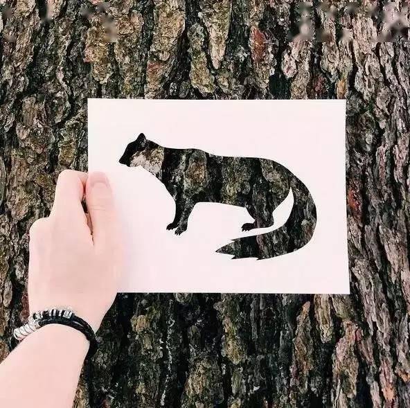剪纸镂空艺术动物的自然剪影