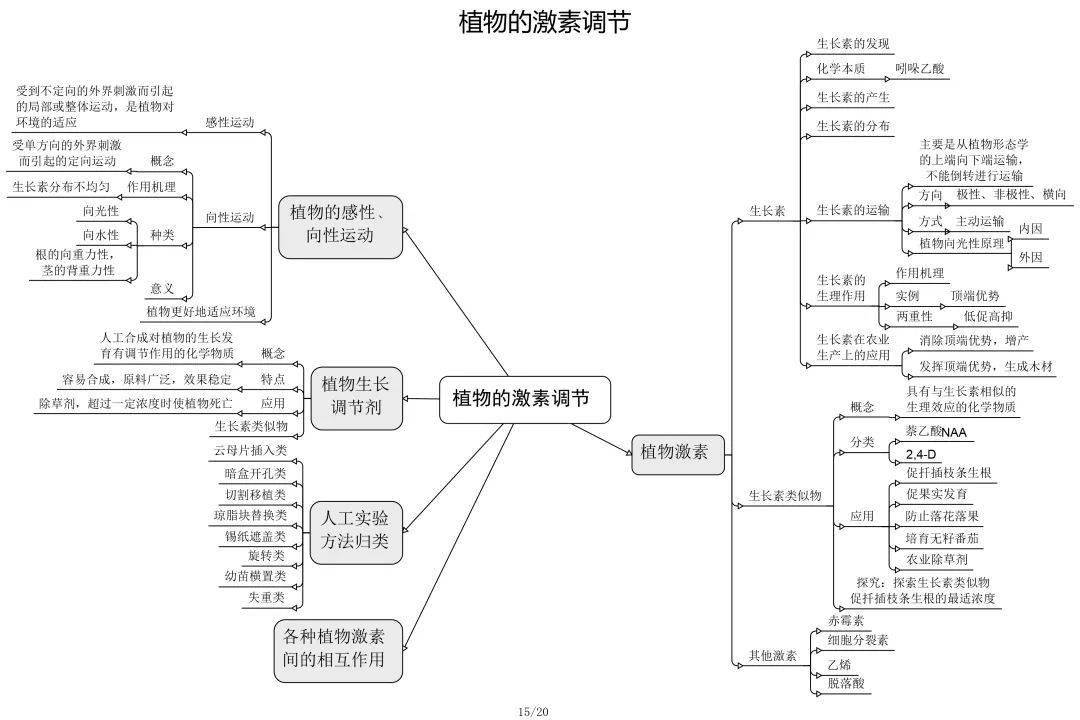 高中生物思维导图最全归纳必修选修