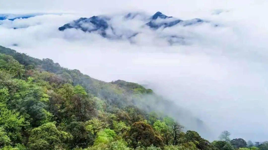 粤北秋色-篝火晚会 小江千年银杏 皇后山 油岭瑶寨/尝长桌宴2天省内