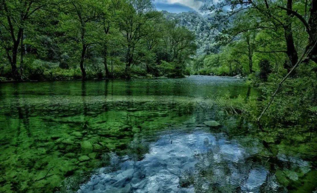 亦或是江河湖泊在康县,无论是飞泉流瀑游鱼细石,直视无碍水皆缥碧