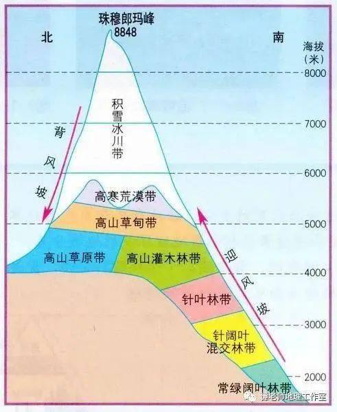 考点| 18座山脉的垂直自然带谱,总结全了!