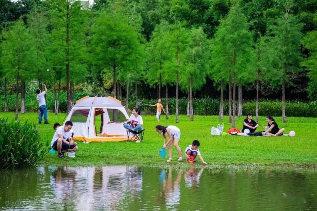 我爱"东莞蓝:67亲子好时光 拥抱大自然!_公园_郑志波_植物园