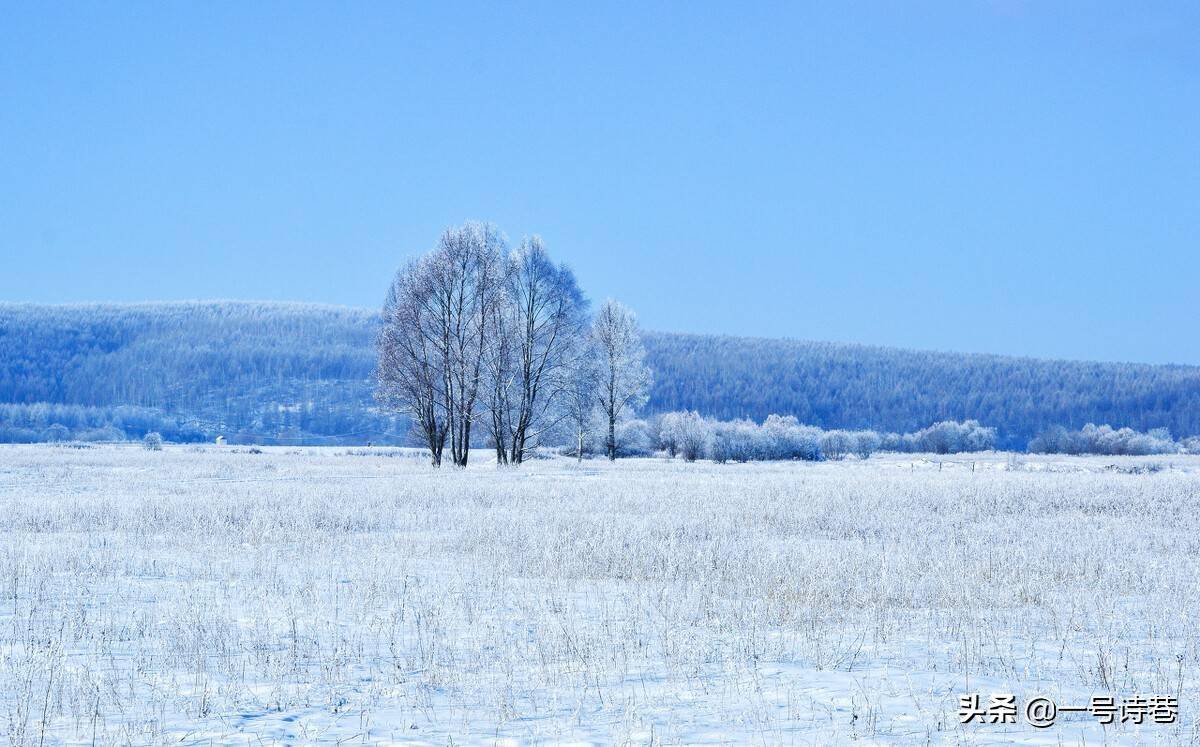 一张图片四首诗,记录冬天最美的雪景,读后真的很治愈