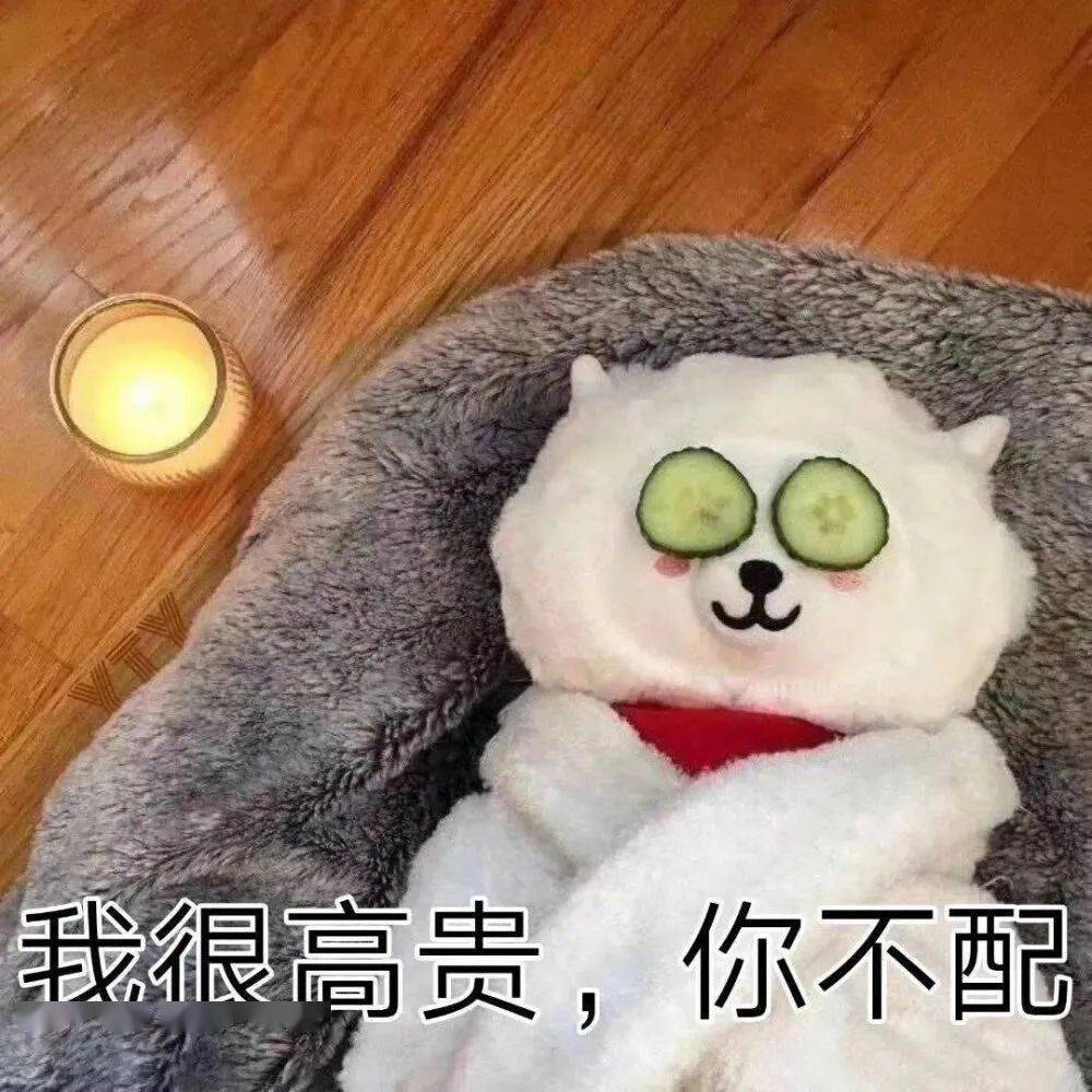 每日沙雕表情包