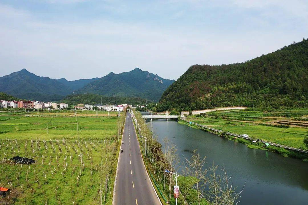 到这里来享万亩"共享田园"吧~~~_湖溪镇_东阳_建设