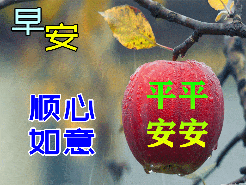 大家早上好漂亮的美女早安问候表情图片带字带祝福语