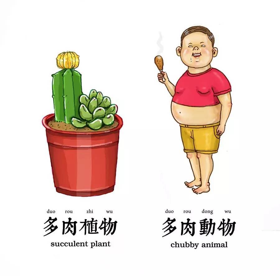 台湾 对话插画家保罗先生