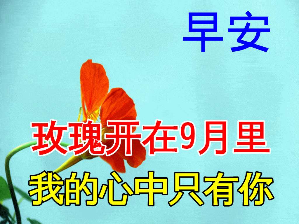 11月30日早上好动态表情图片大全,早晨好动图美图大全