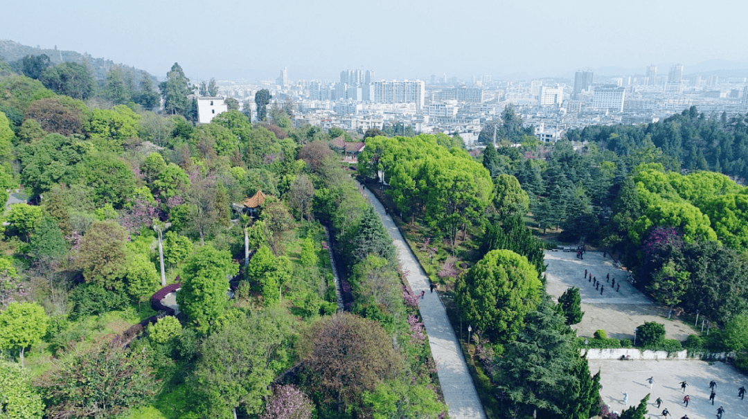 楚雄市西山公园 楚雄州委宣传部供图