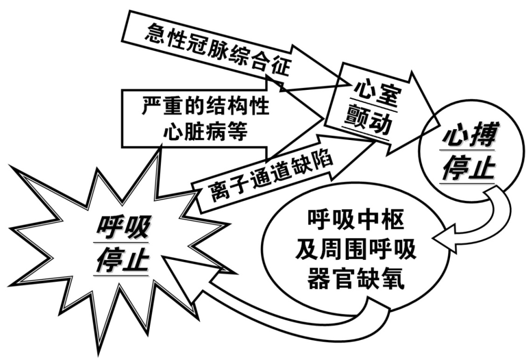 十秒钟之内的决断5心搏骤停的判断呼吸改变