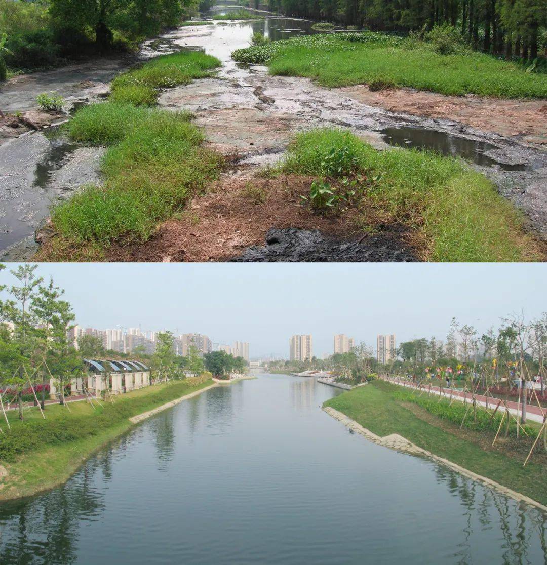 深圳茅洲河碧道生态修复前后对比广州双岗涌生态修复前后对比上下滑动