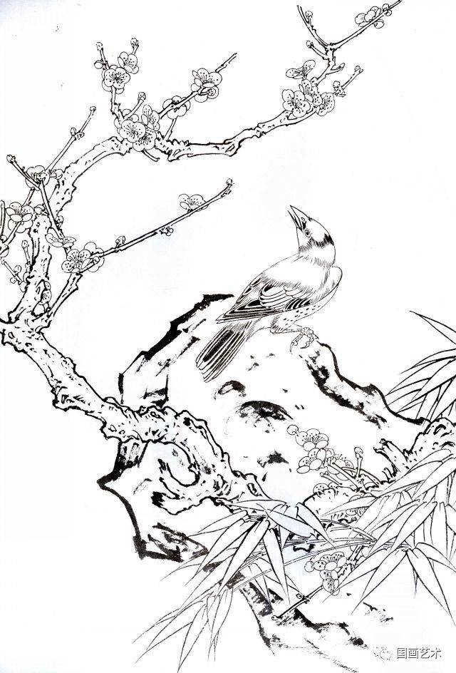 梅花小鸟白描画稿好美