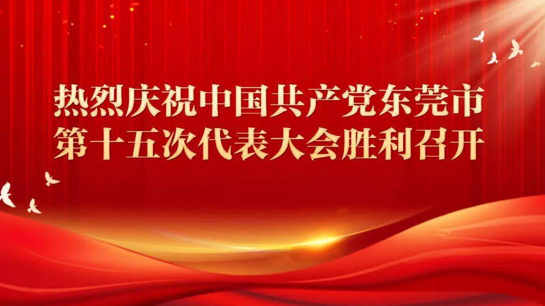 东莞市第十五次党代会宣传海报